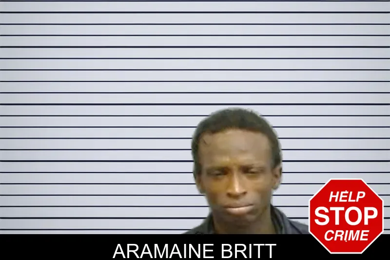 Aramaine Britt mugshot – Fulton County , Georgia Aramaine Britt mugshot