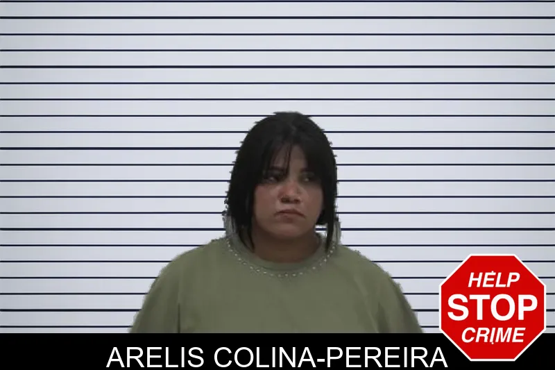 Arelis Colina-Pereira mugshot