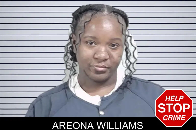 Areona Williams mugshot – Lowndes County , Georgia Areona Williams mugshot