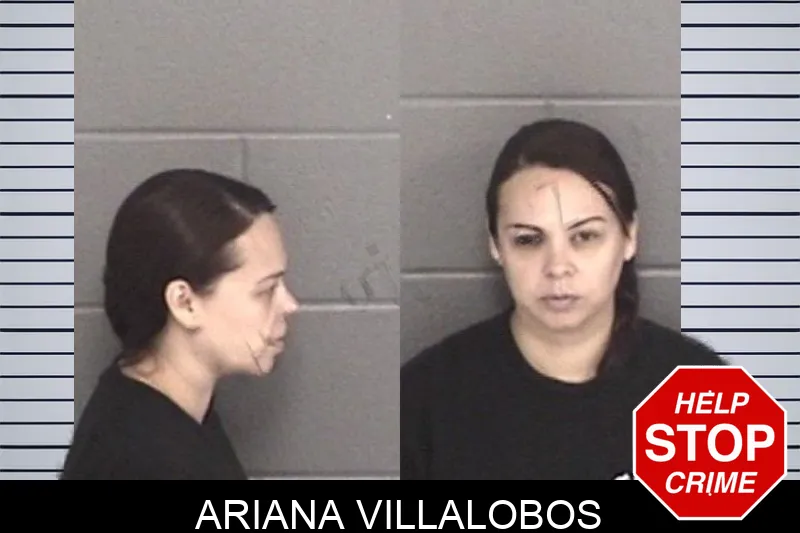 Ariana Villalobos mugshot – Barrow County , Georgia Ariana Villalobos mugshot