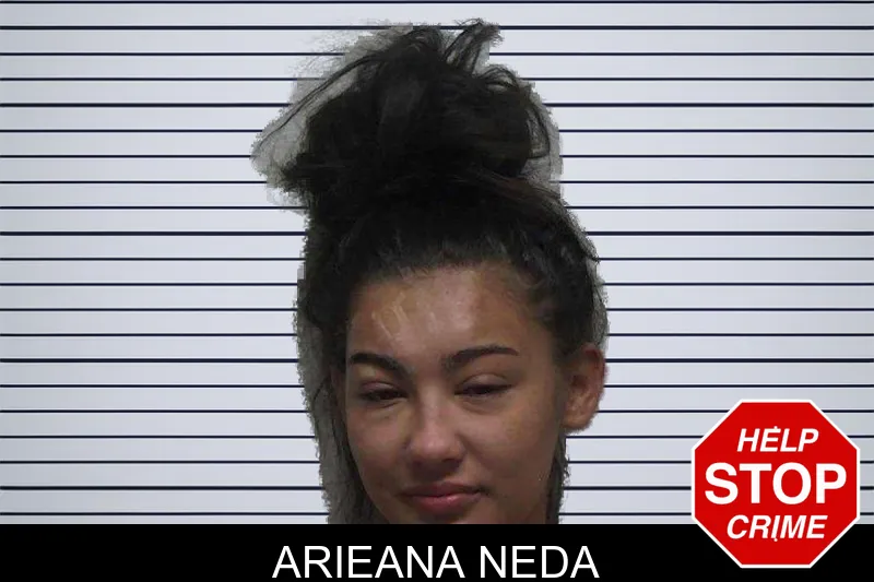 Arieana Neda mugshot
