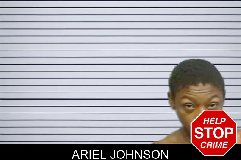 Ariel Johnson mugshot – Fulton County , Georgia Ariel Johnson mugshot