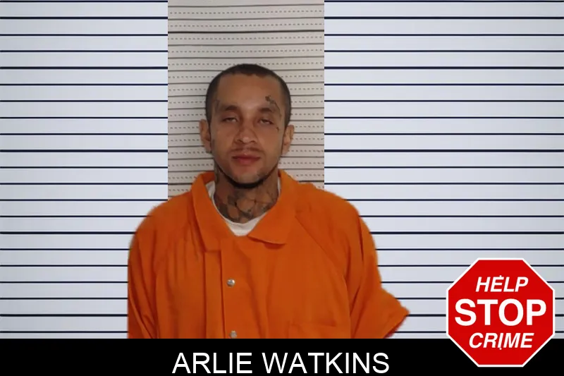 Arlie Watkins mugshot – Rockdale County , Georgia Arlie Watkins mugshot