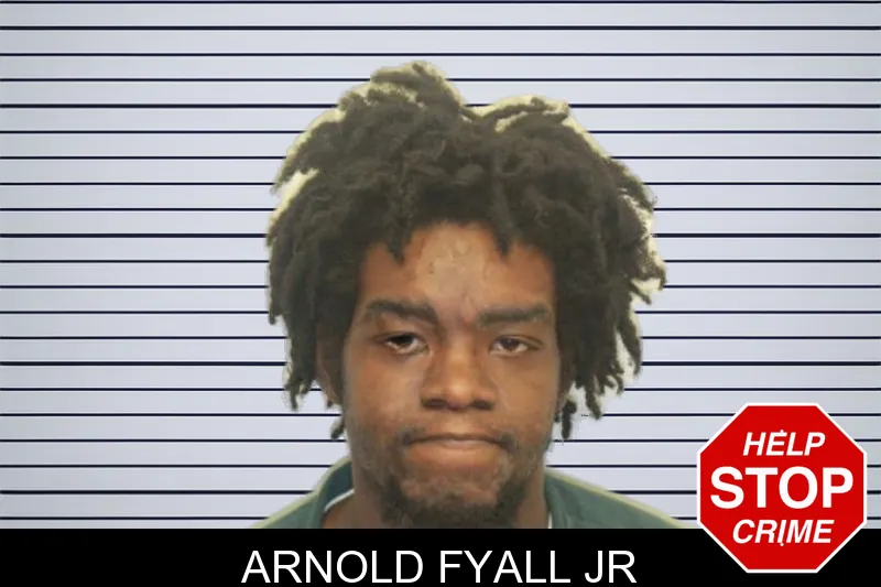 Arnold Fyall Jr mugshot – Chatham County , Georgia Arnold Fyall Jr mugshot