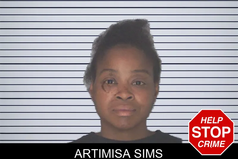 Artimisa Sims mugshot