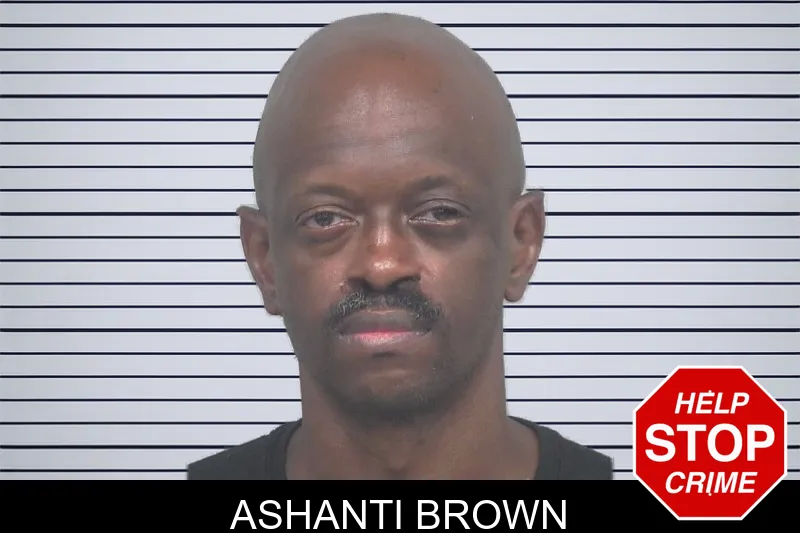 Ashanti Brown mugshot – Gwinnett County , Georgia Ashanti Brown mugshot