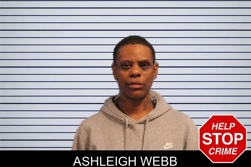 Ashleigh Webb mugshot – Monroe County , Georgia Ashleigh Webb mugshot