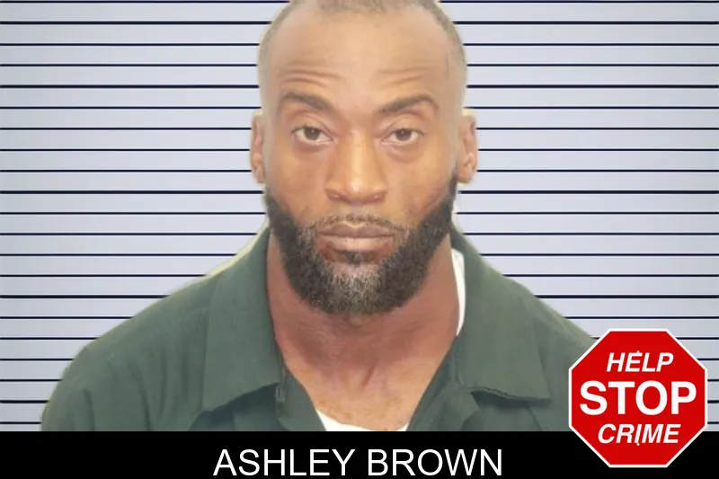 Ashley Brown mugshot – Chatham County , Georgia Ashley Brown mugshot