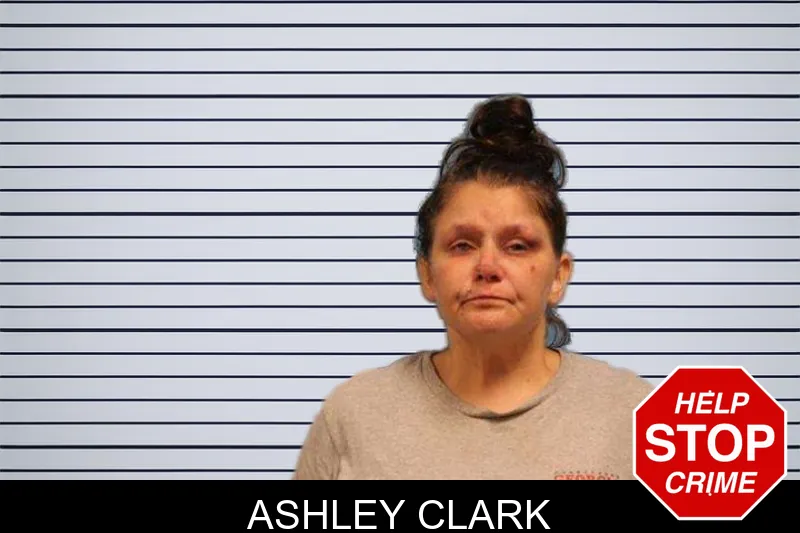 Ashley Clark mugshot