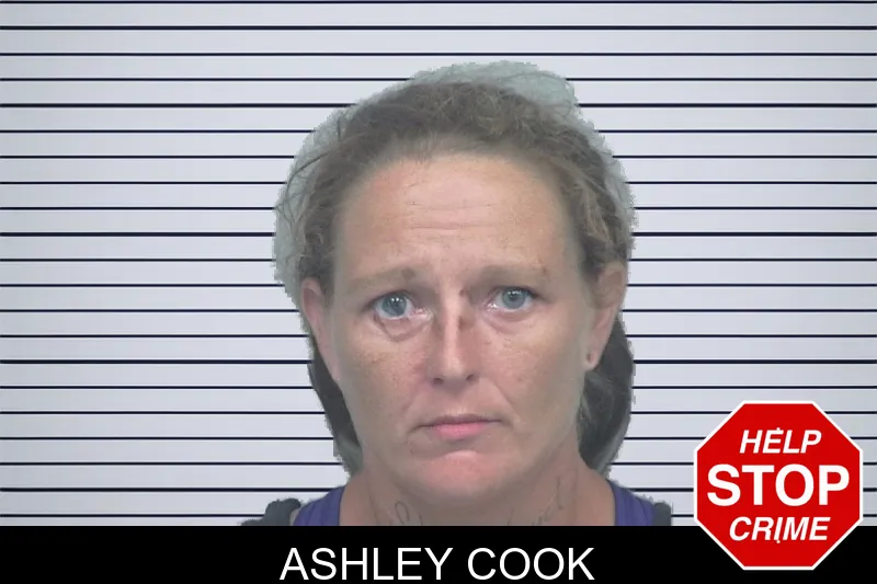 Ashley Cook mugshot – Gwinnett County , Georgia Ashley Cook mugshot