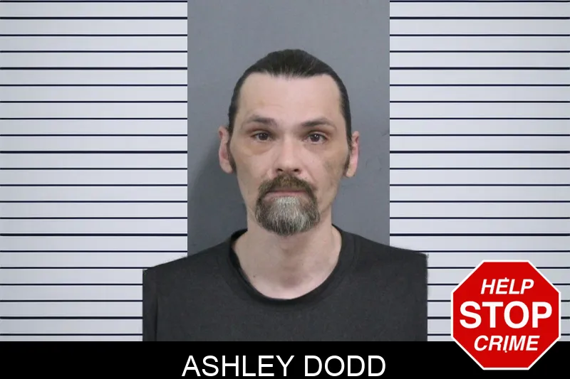 Ashley Dodd mugshot – Catoosa County , Georgia Ashley Dodd mugshot