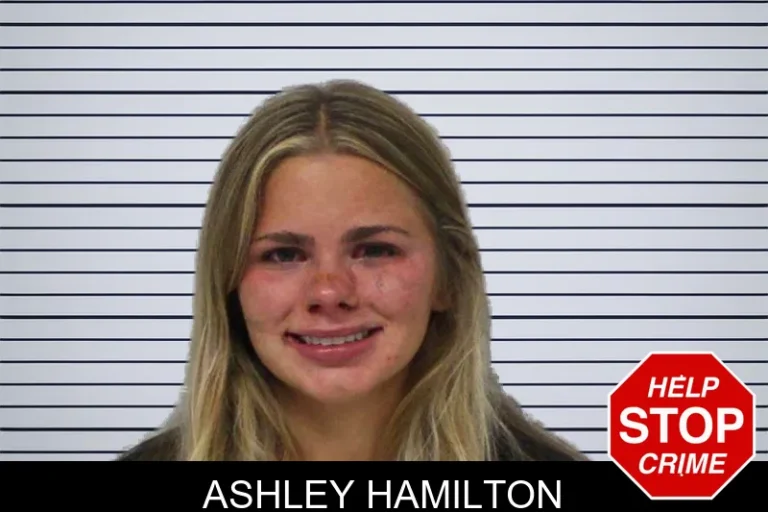 Ashley Hamilton