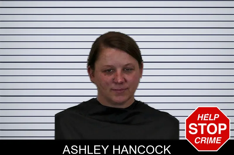 Ashley Hancock mugshot – Hart County , Georgia Ashley Hancock mugshot