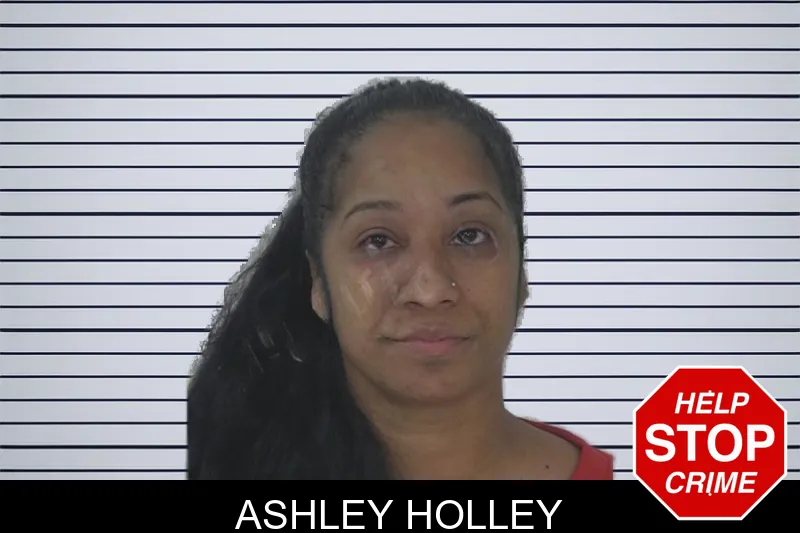 Ashley Holley mugshot – Fayette County , Georgia Ashley Holley mugshot