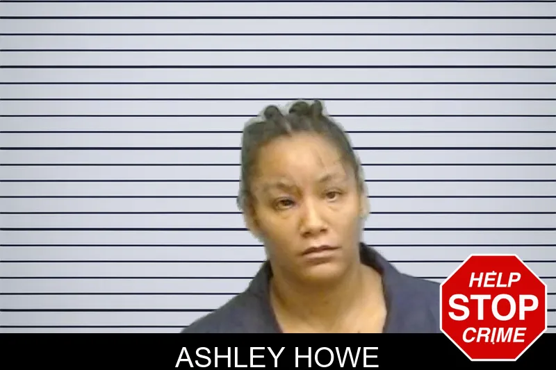 Ashley Howe mugshot – Fulton County , Georgia Ashley Howe mugshot