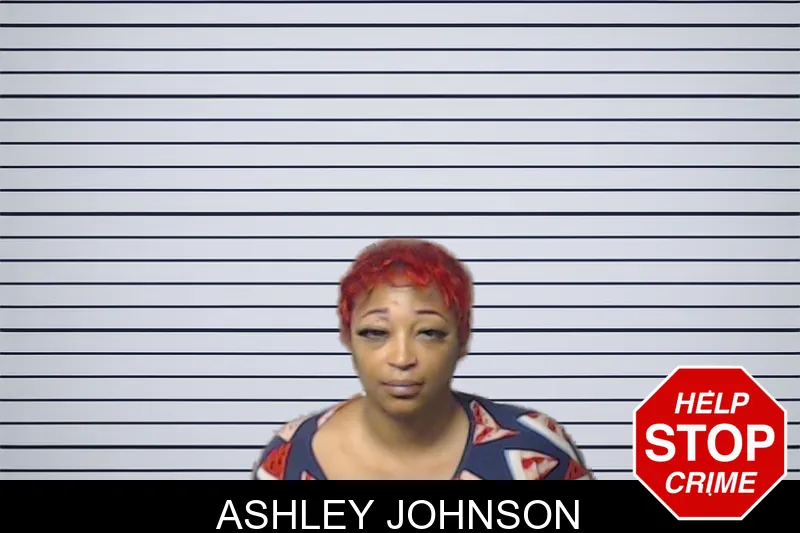 Ashley Johnson mugshot