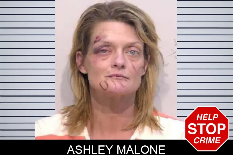 Ashley Malone mugshot – Bartow County , Georgia Ashley Malone mugshot