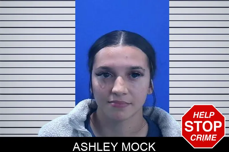 Ashley Mock mugshot – Troup County , Georgia Ashley Mock mugshot