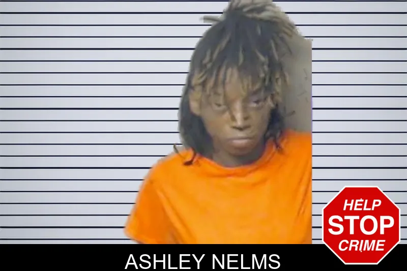 Ashley Nelms mugshot