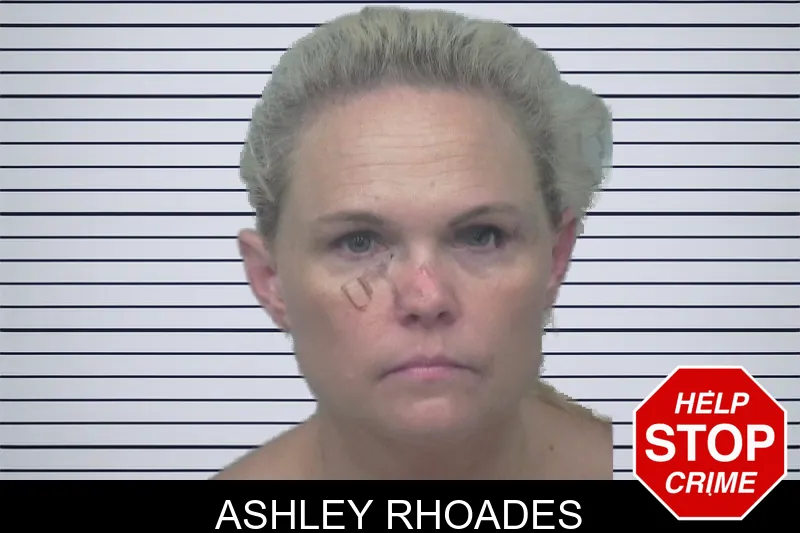 Ashley Rhoades mugshot – Gwinnett County , Georgia Ashley Rhoades mugshot