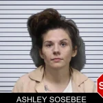 Ashley Sosebee mugshot