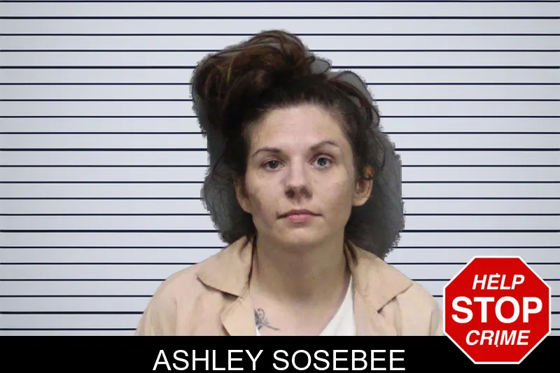 Ashley Sosebee mugshot