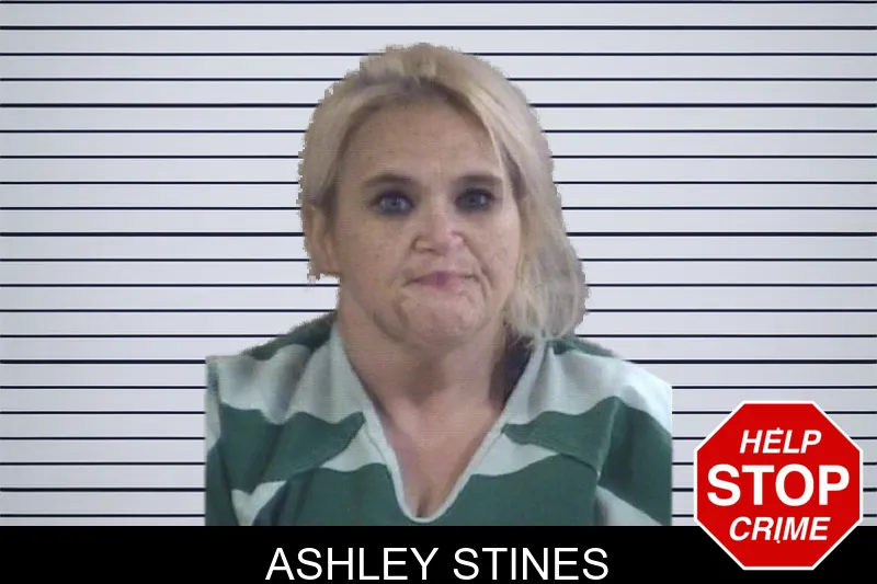 Ashley Stines mugshot – Whitfield County , Georgia Ashley Stines mugshot