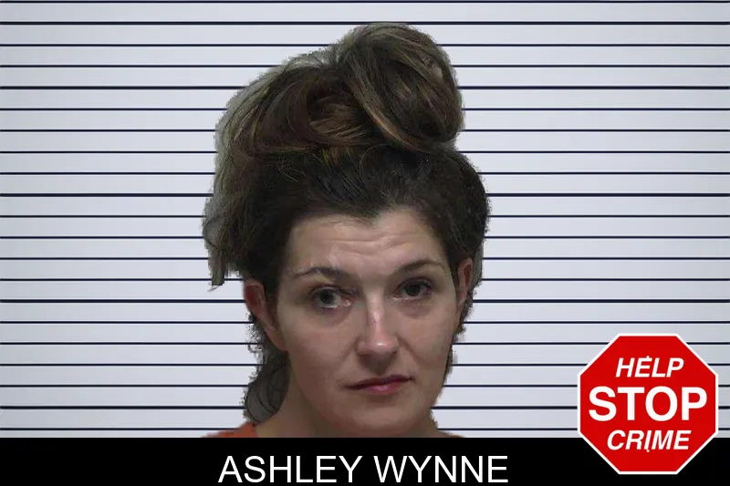Ashley Wynne mugshot – Laurens County , Georgia Ashley Wynne mugshot
