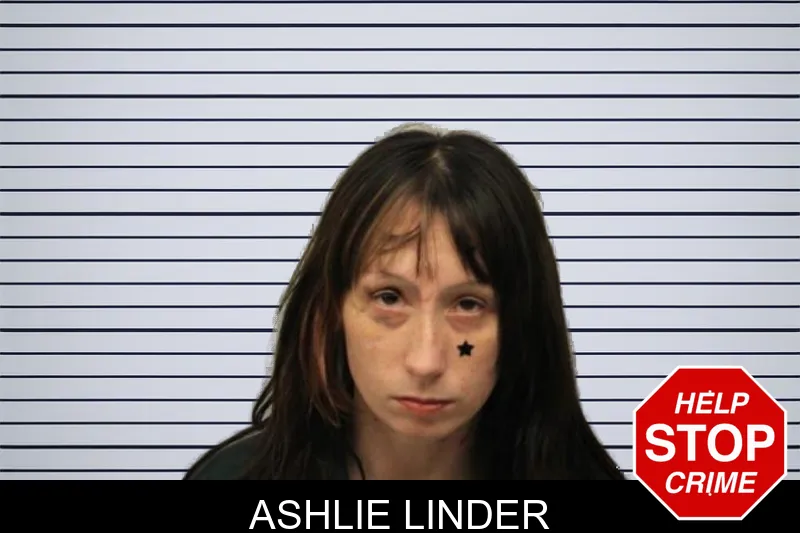 Ashlie Linder mugshot – Chatham County , Georgia Ashlie Linder mugshot