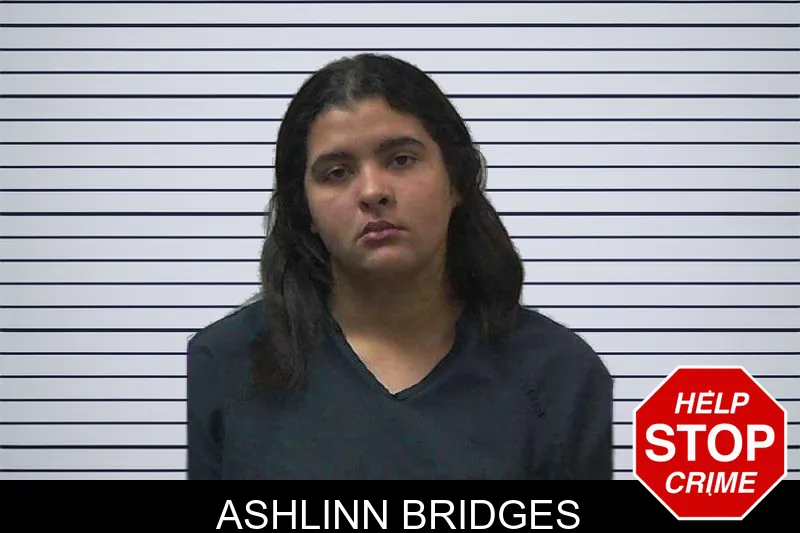 Ashlinn Bridges mugshot – Gilmer County , Georgia Ashlinn Bridges mugshot