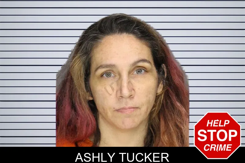 Ashly Tucker mugshot – Cobb County , Georgia Ashly Tucker mugshot