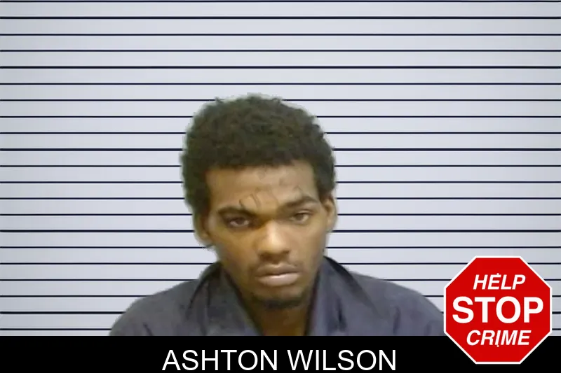 Ashton Wilson mugshot – Fulton County , Georgia Ashton Wilson mugshot
