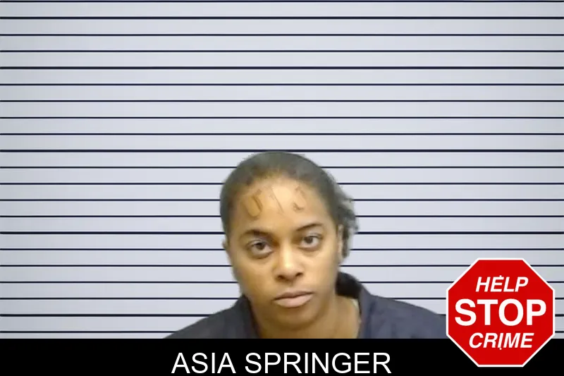 Asia Springer mugshot – Fulton County , Georgia Asia Springer mugshot