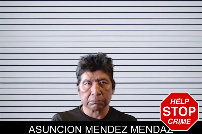 Asuncion Mendez Mendaz mugshot
