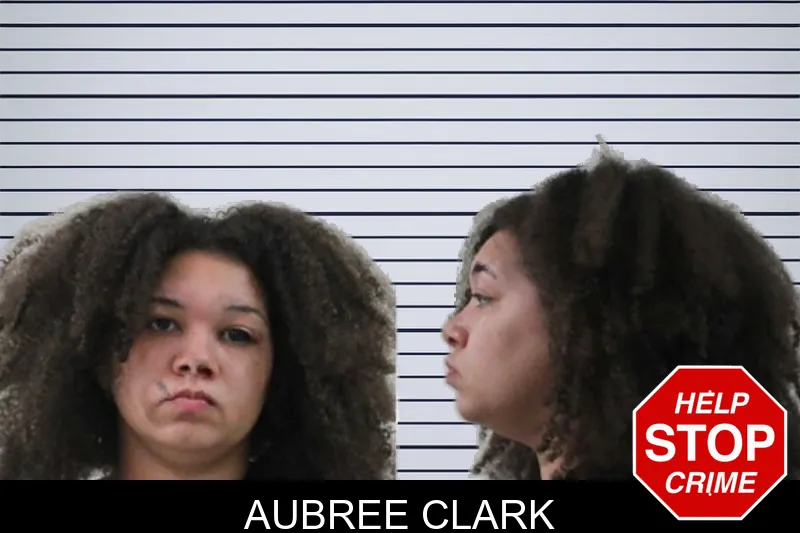 Aubree Clark mugshot – Houston County , Georgia Aubree Clark mugshot