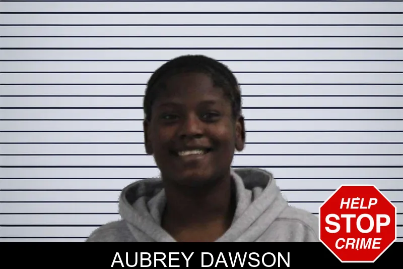 Aubrey Dawson mugshot – McDuffie County , Georgia Aubrey Dawson mugshot