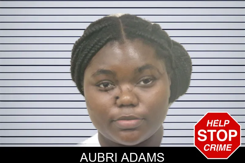 Aubri Adams mugshot – Bulloch County , Georgia Aubri Adams mugshot