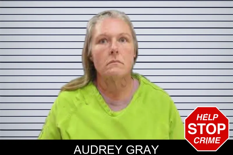 Audrey Gray mugshot – Lee County , Georgia Audrey Gray mugshot
