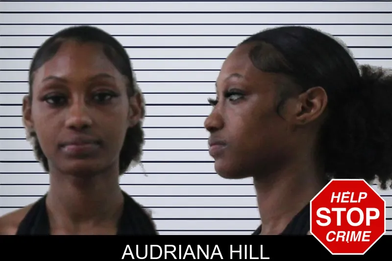 Audriana Hill mugshot