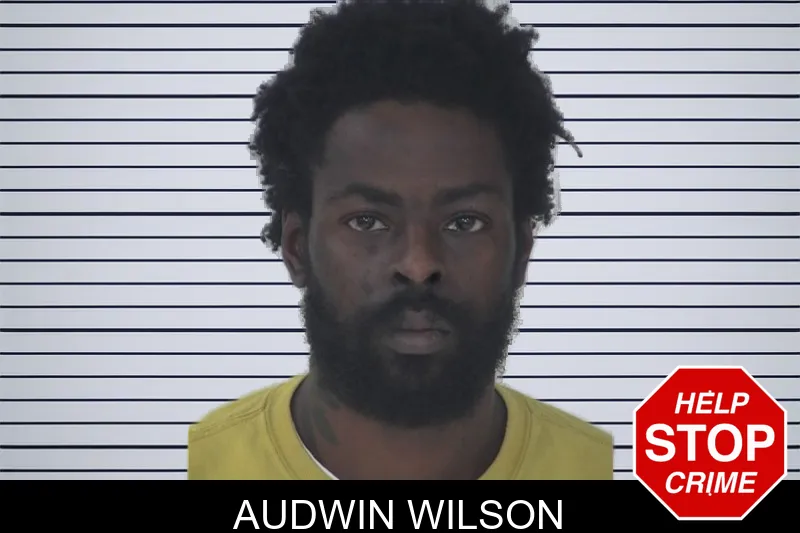 Audwin Wilson mugshot