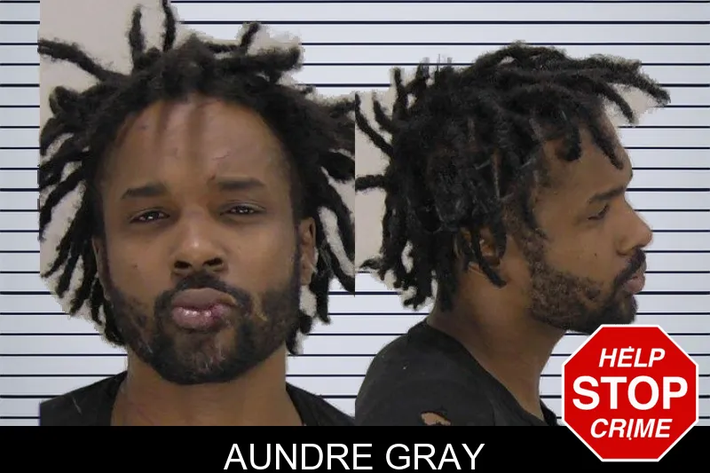 Aundre Gray mugshot