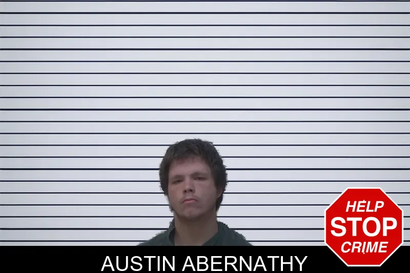 Austin Abernathy mugshot – Irwin County , Georgia Austin Abernathy mugshot