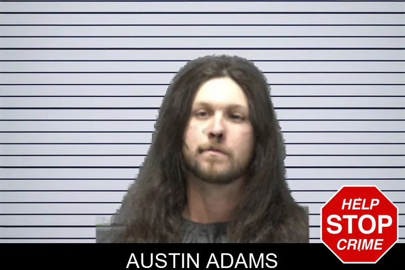 Austin Adams mugshot