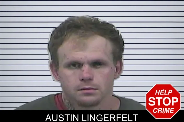Austin Lingerfelt mugshot – Dawson County , Georgia Austin Lingerfelt