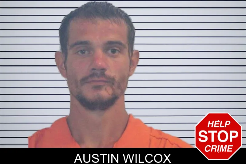 Austin Wilcox mugshot