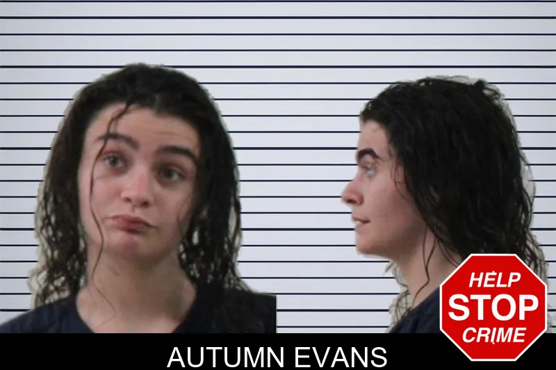 Autumn Evans mugshot – Houston County , Georgia Autumn Evans mugshot