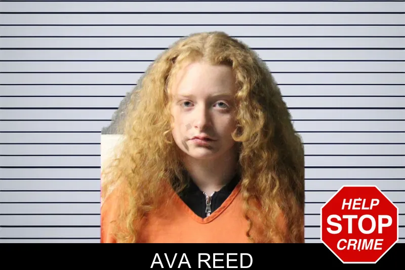 Ava Reed mugshot – Lumpkin County , Georgia Ava Reed mugshot