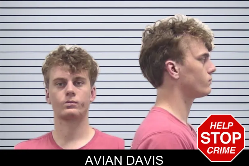 Avian Davis mugshot – Clarke County , Georgia Avian Davis mugshot