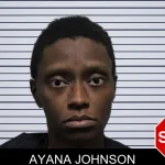 Ayana Johnson mugshot
