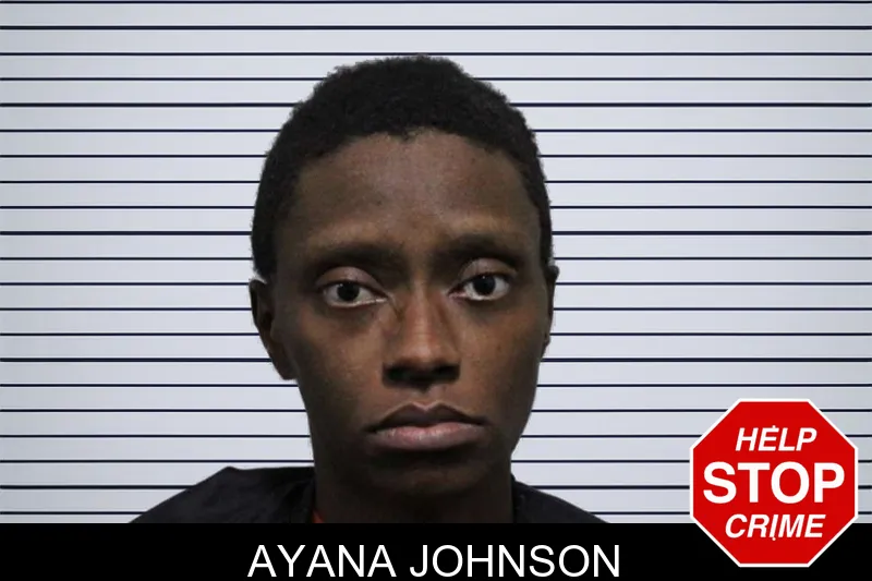 Ayana Johnson mugshot – Habersham County , Georgia Ayana Johnson mugshot
